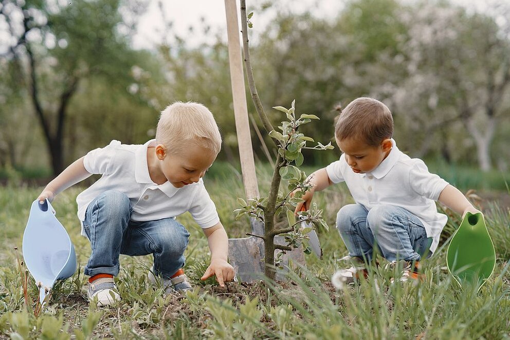 Un naissance un arbre : les inscriptions sont ouvertes