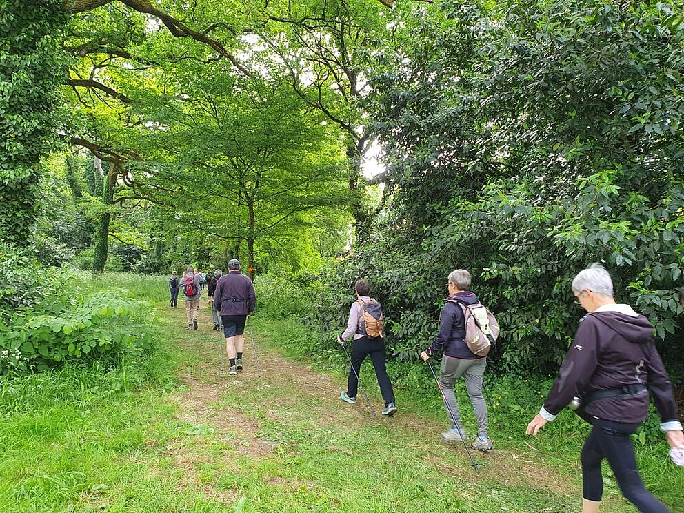 Randonnée pédestre : La ligérienne 2026