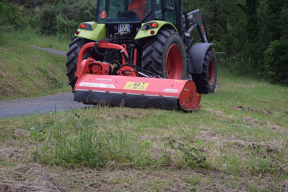 Fauchage des accotements