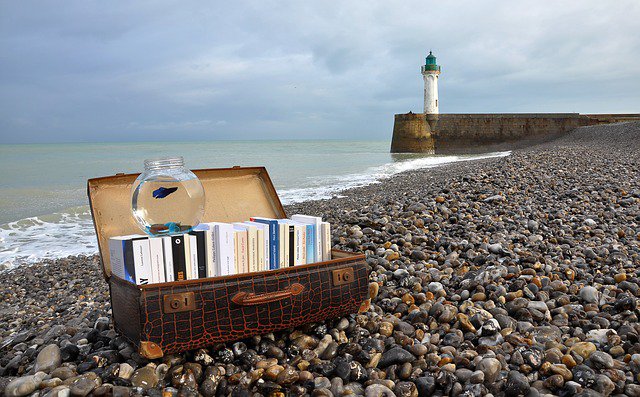 Fermeture estivale de la bibliohèque et horaires d'été